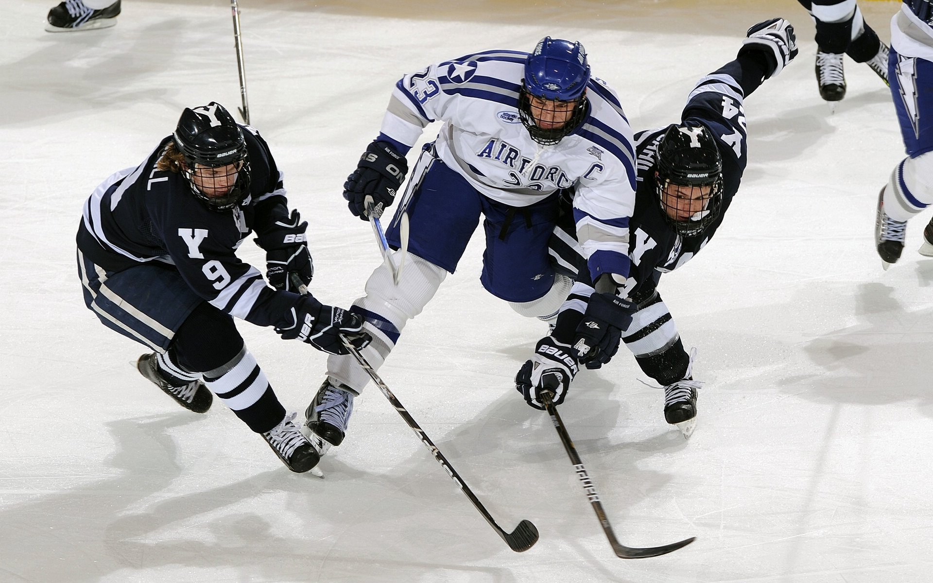 积分榜分析：哪些球队战斗力逐步提升，值得期待？，球队积分排名