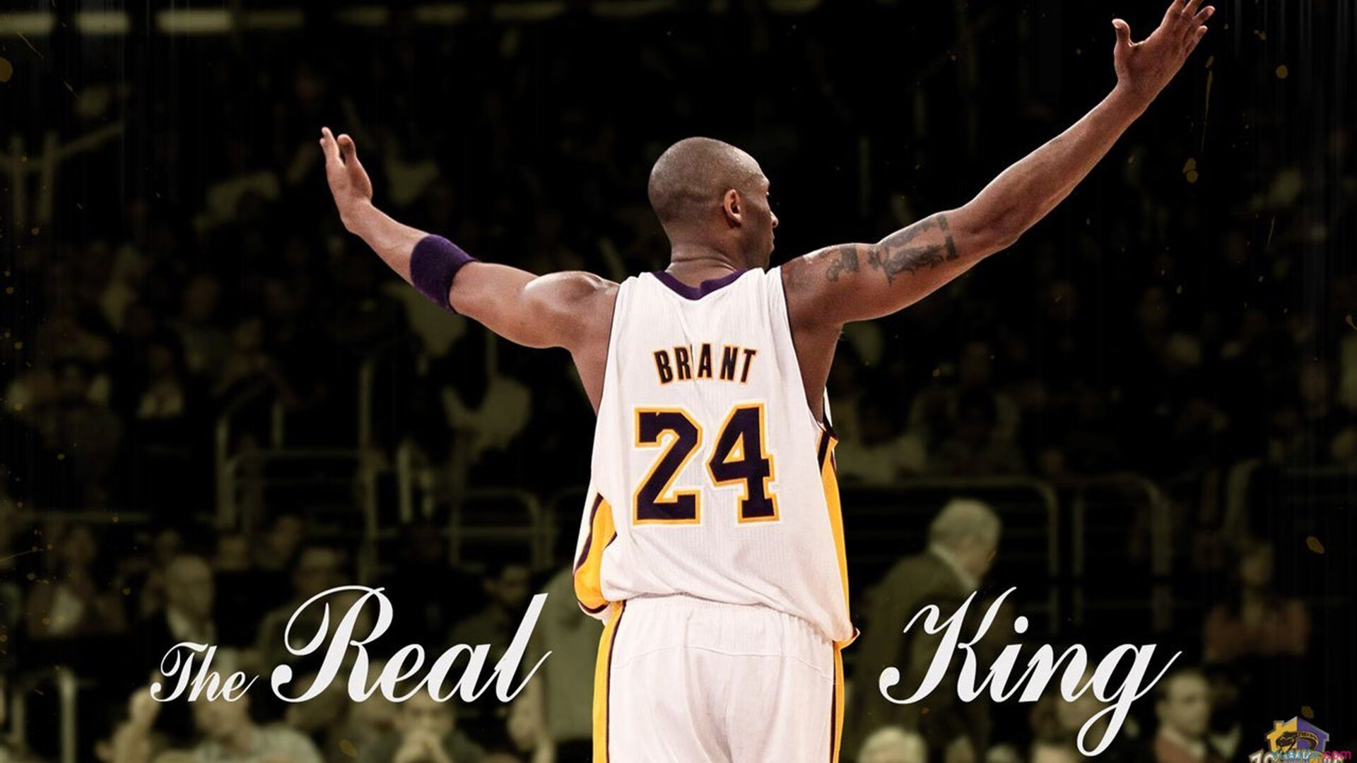 青少年“青春篮球季”在南京全面启动,助力青训产业升级,青少年篮球训练班